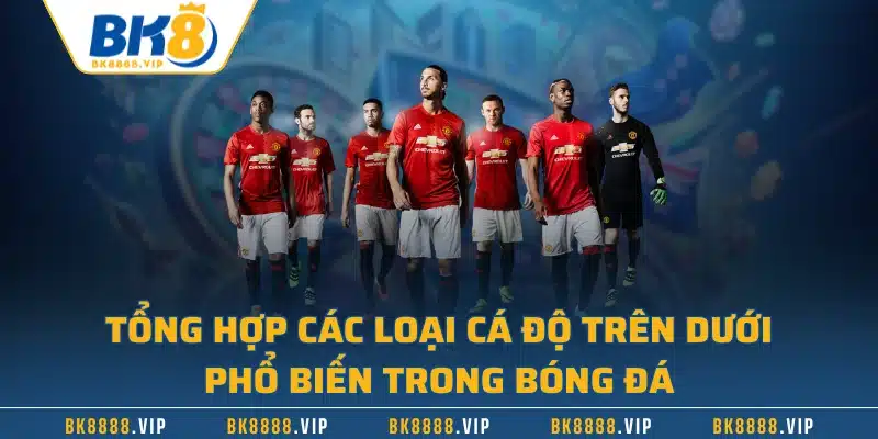 Kèo Chấp Là Gì? Tìm Hiểu Cách Tính Tiền Khi Chiến Thắng 2 Tổng hợp các loại cá độ trên dưới phổ biến trong bóng đá